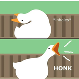 honkhonk
