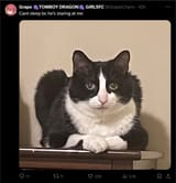 1723295324409893
