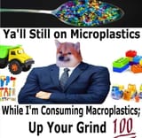 a86d6c8c00104d9a30db1b2defccaddca9b01f9130d2824931f091bfc720bcd9_1-1264614273