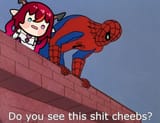 DoYouSeeThisShitCheebs