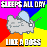 SleepyheadClassicMeme