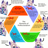 Enna&#039;s guide to professionalism