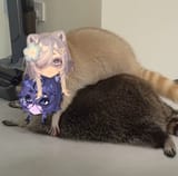 GuyXQ6uW0AAgu3v
