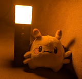 momotorch2