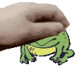 SeduaPet
