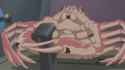 Crab_pilot_thumb.jpg