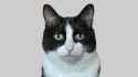thousand yard stare[sound=files.catbox.moe%2Fqs8xy9.mp3]_thumb.jpg
