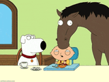 thehorseishere