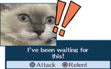 1751172020076