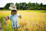 istockphoto-818034404-612x612