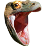 PogChamp_komodo