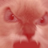 JOHN rage hyper