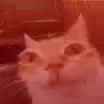Erm Me Like A Slut[sound=files.catbox.moe%2Foqfn8r.opus]_thumb.jpg