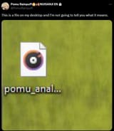 pomu_anal