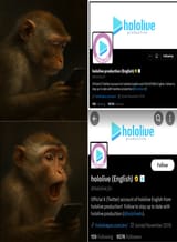 Monke beggar