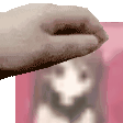1746451241502189