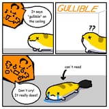 Gu1fqv8XcAEUvxv