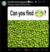 CCCCCCCCC
