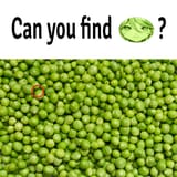 1738078781485973