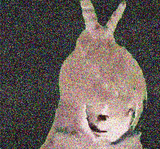 1636145425383