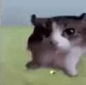 GtLtmCtaQAAQPCN_thumb.jpg