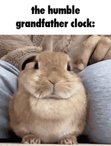 caption