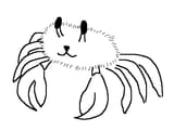 crabbit