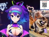 raccoon