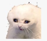 451-4516388_gato-llorando-sadaesthetic-sad-cat-meme-png-transparent