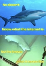 1741461239350879