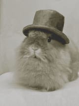 olde timey rab
