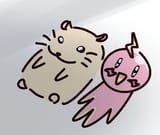 Liacon and hamtard