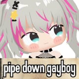 pipe down gayboy