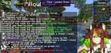 sheep for cheap