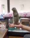 1751499237560027_thumb.jpg
