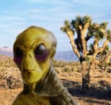 ȁ̷̤̱̰́̇͘ͅl̷̡̨̘͍̩͇̙̤̭̀͐̒͐̾̉̍̅͊͑͆̓͘͠m̷̟͉̟̝̤̜̯͔͈̯͎͚͚̥̙̉͑̀̀͗̑̌̀̿̽̆̽̈́͘̕ą̵͉͍͔̥̠̦͕͓̑́̍̒̿̊̕͝͠o̷̢͉̮̩̤͖̥̲̝̲̼̲̪̬͛̍̓̂̊̏̓