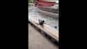 mmmmbaaaaaaaaaaaaaah[sound=files.catbox.moe%2Fw1lqtg.m4a]_thumb.jpg
