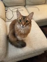 1751217808234[1]