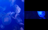 1726149615379314