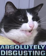 1686556389349166