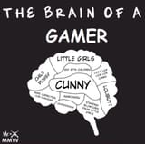 The Brain of a Gamer