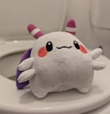 momotoilet