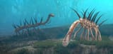 Hallucigenia_653