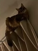 1751218179828[1]