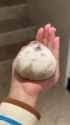 fatham_thumb.jpg