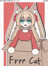 cat in a box