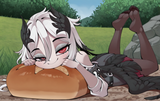 nemo bigbread