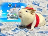 yayo[sound=files.catbox.moe%2Fjjida6.mp3]