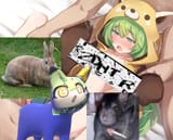 yuzusfw