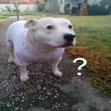 images (3)